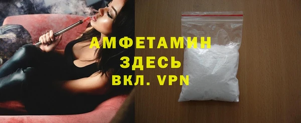 СК Алексин