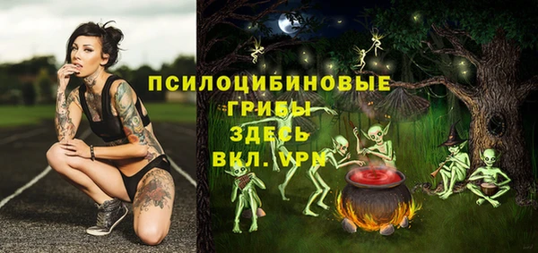 дживик Алексеевка
