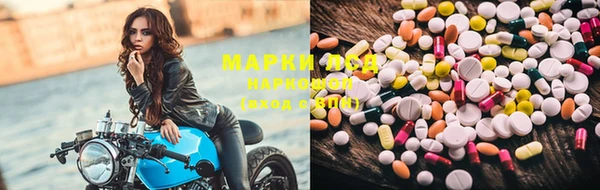 МДПВ Алзамай