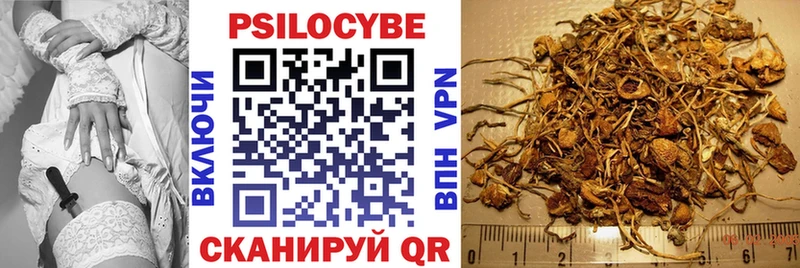 Псилоцибиновые грибы Magic Shrooms  Ангарск 